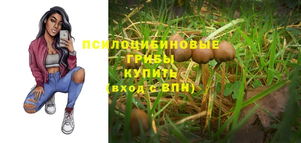 винт Балахна